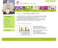 ออคิดเอ็กพอร์ท ดอท คอม - orchidexport.com