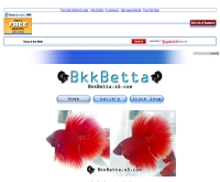 บีเคเค เบ็ตต้า - bkkbetta.s5.com