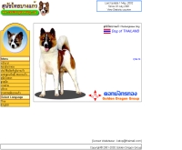 สุนัขไทยบางแก้ว - thaibangkaewdog.com