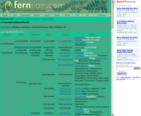 เฟิน - geocities.com/fernparadise