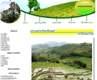 ดอยอินทนนท์ - doiinthanon.com