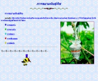 การขยายพันธุ์พืช - web.ku.ac.th/agri/plants/main.htm