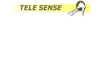 บริษัท เทเลเซนส์ จำกัด - telesense.co.th