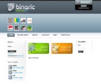 ไบนาริคดอทคอม - binaric.com