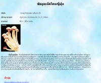 เห็ดโคนญี่ปุ่น - geocities.com/tonhedproject/