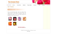 ไทย อเมซิ่ง ฟลาวเวอร์ - thaiamazingflower.com
