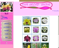 กล้วยไม้ไทย - orchid.acbox.com