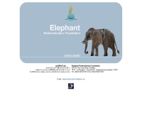 มูลนิธิคืนช้างสู่ธรรมชาติ - elephantreintroduction.org