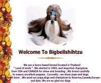 บิ๊กเบลล์ชิห์สุ - geocities.com/bigbellshihtzukennel