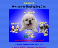 บ๊อกบ๊อกบ๊อก เคนเนิล - bogbogbog.com