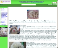 เฟอเรท-เม่นแคระ - ferret-hedgehog.pantown.com