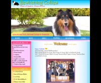 บีวิชชิ่ง คอลลี่ - bewitchingcollies.com