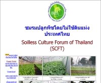 ชมรมปลูกพืชโดยไม่ใช้ดินแห่งประเทศไทย - kmitl.ac.th/hydro/