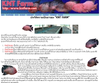 เคเอ็นทีฟาร์ม - kntfarm.com