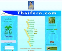 เฟินไทยดอทคอม - thaifern.com