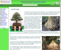 บอนไซทูเดย์ - bonsai-today.pantown.com