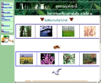 อุทยานแห่งชาติกับการท่องเที่ยวอย่างยั่งยืน ภาคอีสาน - geocities.com/jkkjury