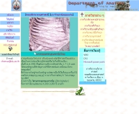 ภาควิชากายวิภาค คณะสัตวแพทยศาสตร์ มหาวิทยาลับขอนแก่น - vet.kku.ac.th/anatomy