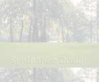 บริษัท สินธานีโฮลดิ้ง จำกัด - synthanee.co.th