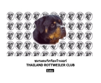 ชมรมร๊อทไวเลอร์ (ประเทศไทย)  - thairottclub.com