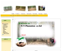 บริษัท เอ็น.วาย พืชไร่ จำกัด - nyplantation.com