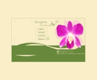 บริษัท เอเวอร์กรีน ออคิด จำกัด - evergreenorchid.com