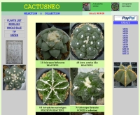 แคคตัสนีโอ - cactusneo.com