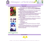 เทศกาลกินเจ - lib.ru.ac.th/journal/oct/oct_gin-ja-fastival.html