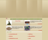 สยามบอนไซ - siambonsai.com