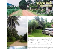 หญ้างามรีสอร์ท - yangam.com