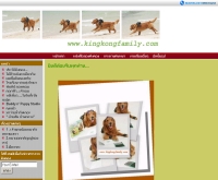 คิงคองแฟมิลี่ - kingkongfamily.com