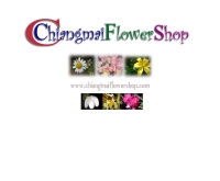 แพรชมพู - chiangmaiflowershop.com