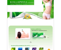 บริษัท คอสติค อินเตอร์เนชั่นแนล จำกัด - kollaphyll.com