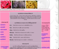 ฮวงจุ้ยดอกไม้ - chrysanthemum.th.gs