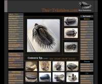 ไทรละไบ - thai-trilobites.com