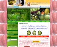 ส้มโอสยาม - siampomelo.com