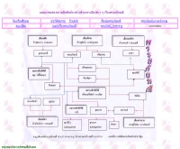 ความสัมพันธ์ระหว่างตัวละครในวรรณคดีไทย เรื่องพระอภัยมณี - st.ac.th/bhatips/apaimani_map.html