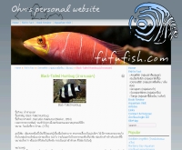 ปลาม้าลายนอก (Black-Tailed Humbug) - fufufish.com/content/view/180/40/