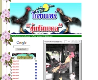 ไก่ชนแพร่ - kaichonphrae.com