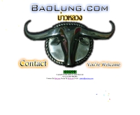 บ่าวหลวง - baolung.com