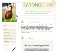 RayongPlant - rayongplant.com