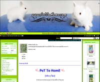 เพททูโฮม - pettohome.com