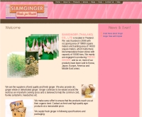 สยามขิง - siamginger.com
