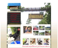 บรรเลงฟาร์มไก่ชน - banbarnleng.com