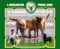กรีนคอร์เนอร์ ระยอง ลาบราดอร์ - labrador-thailand.com