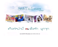 ชิสุห์ เลิฟเวอร์ - shihtzu-lovers.com