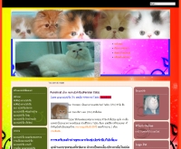 พั้นแคท - punchcat.com