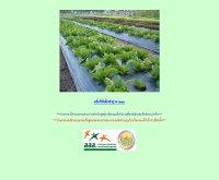 แผนงานพืชอาหารเชียงใหม่ปลอดภัย - foodsafetycm.in.th