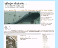 ผู้ใหญ่ประทีปพันธุ์ปลา - bestfish4u.com