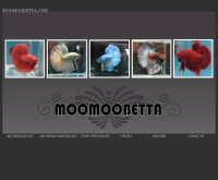 หมูหมูเบ็ทต้า - moomoobetta.com